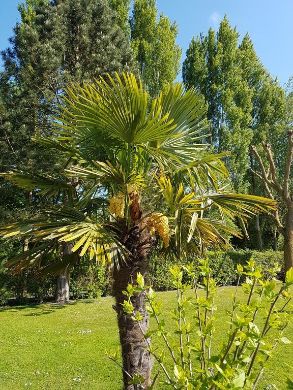 Hotel Du Golf Кабур Екстериор снимка